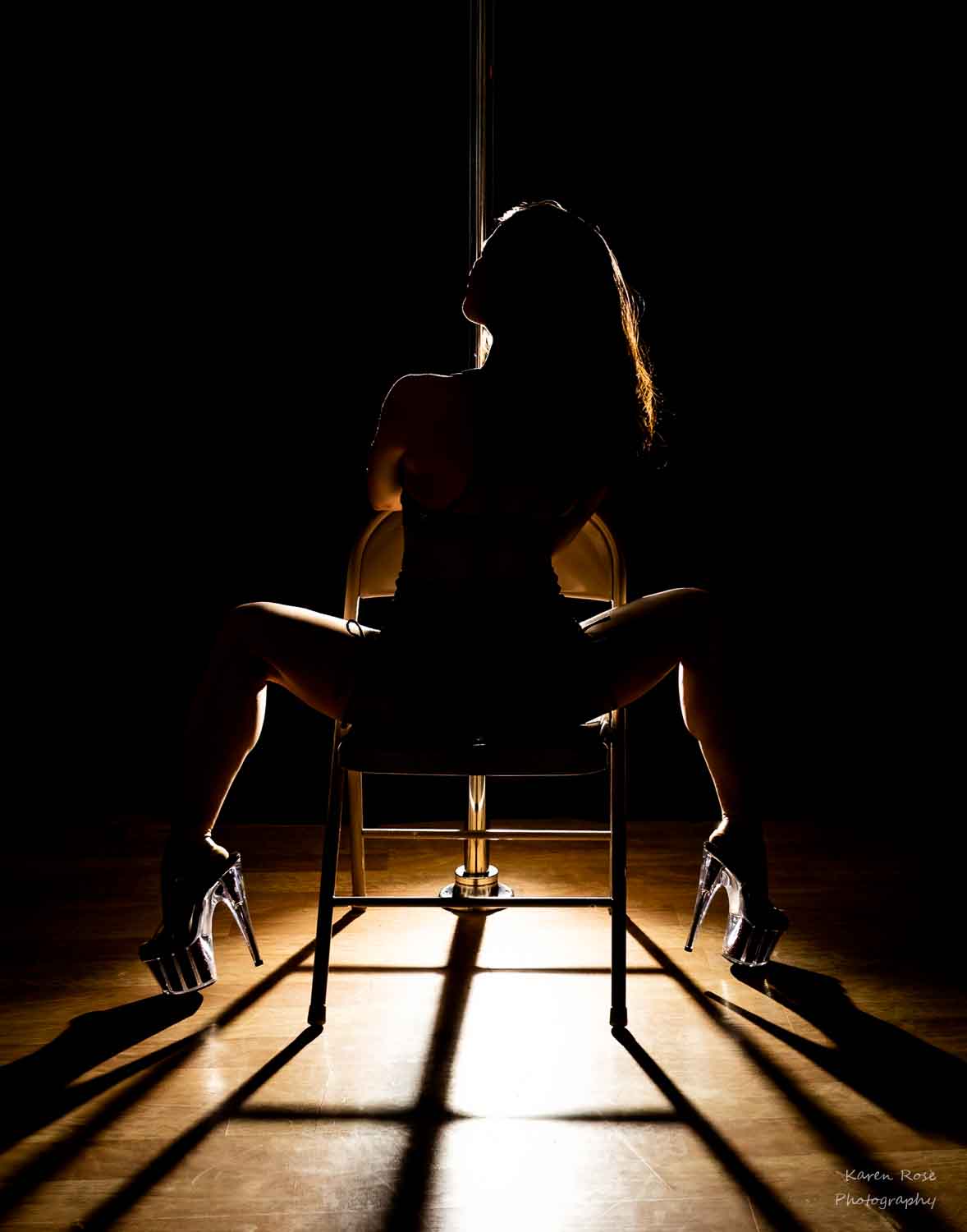 Pole art studio silhouette